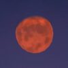 【考察】04.赤い月と星詠みのサテラ（前編） : ロザリーのアストルティア考古学【DQ10